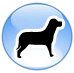 piccoli animali accettati - small pets accepted